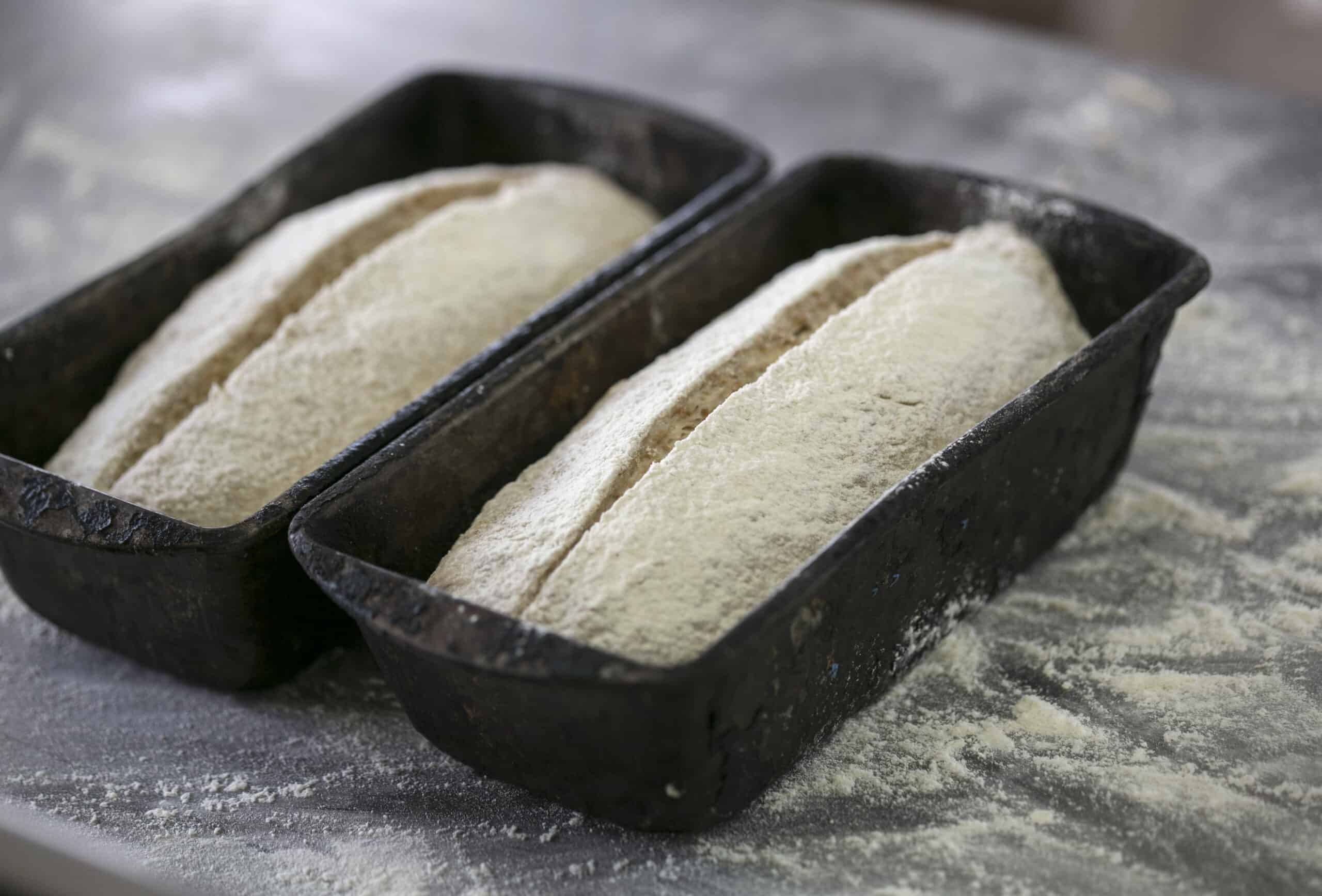 Fresh bread dough in baking tins ready for baking at The Auld Mill Bakery.