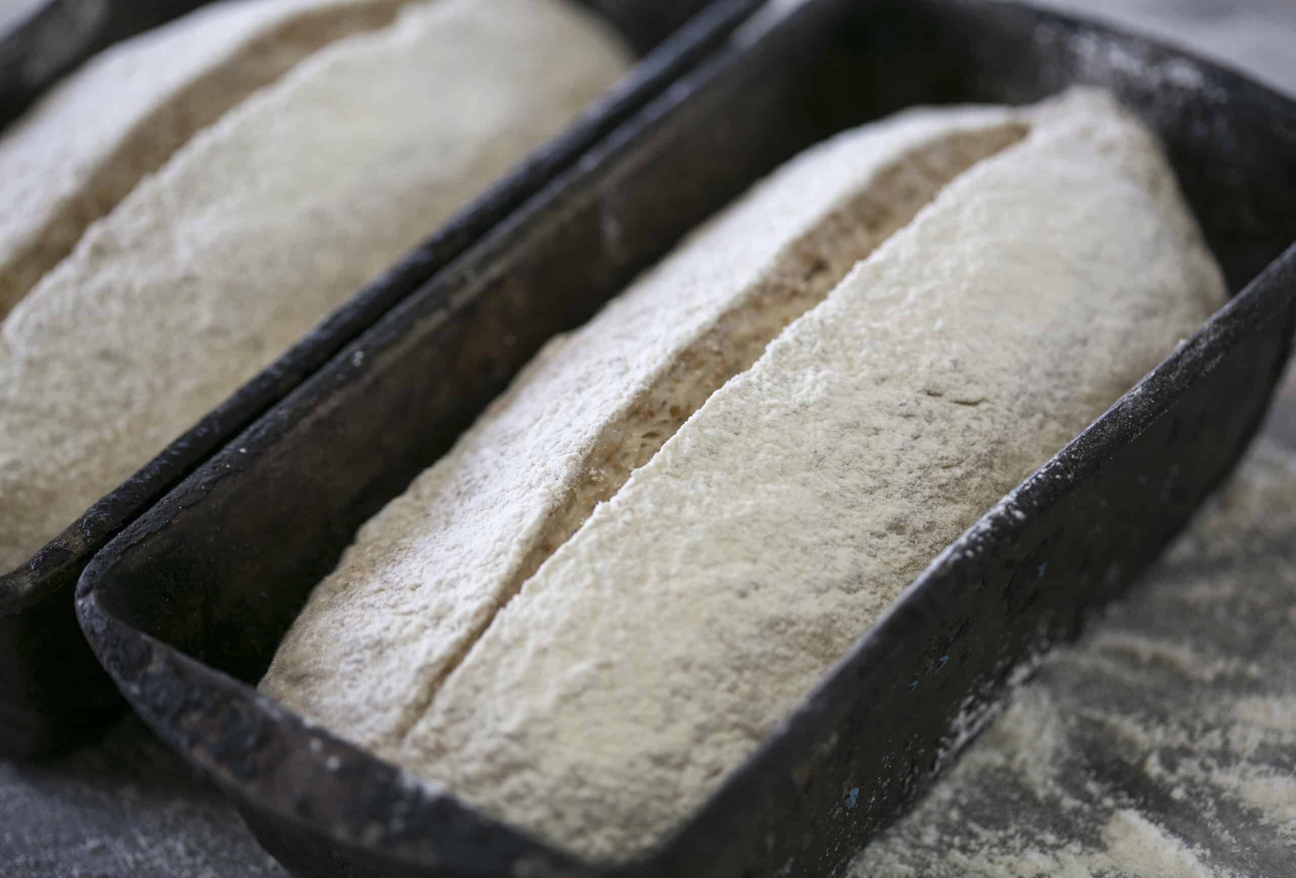 Sourdough bread dough in a baking tin ready for baking at The Auld Mill Bakery.